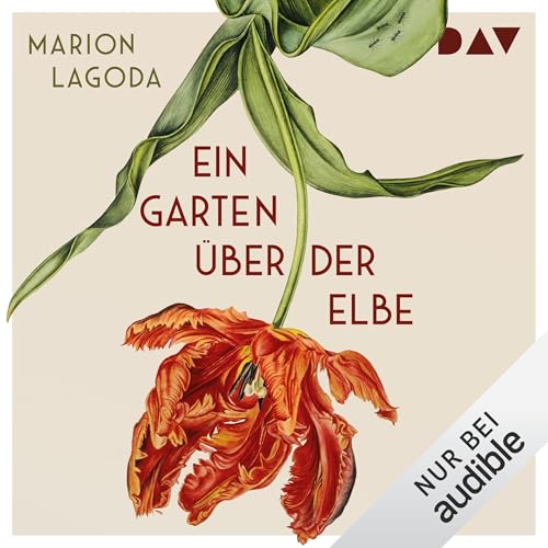 Ein Garten über der Elbe Titelbild