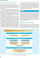 Scapular Fractures 8073457318 Book Cover