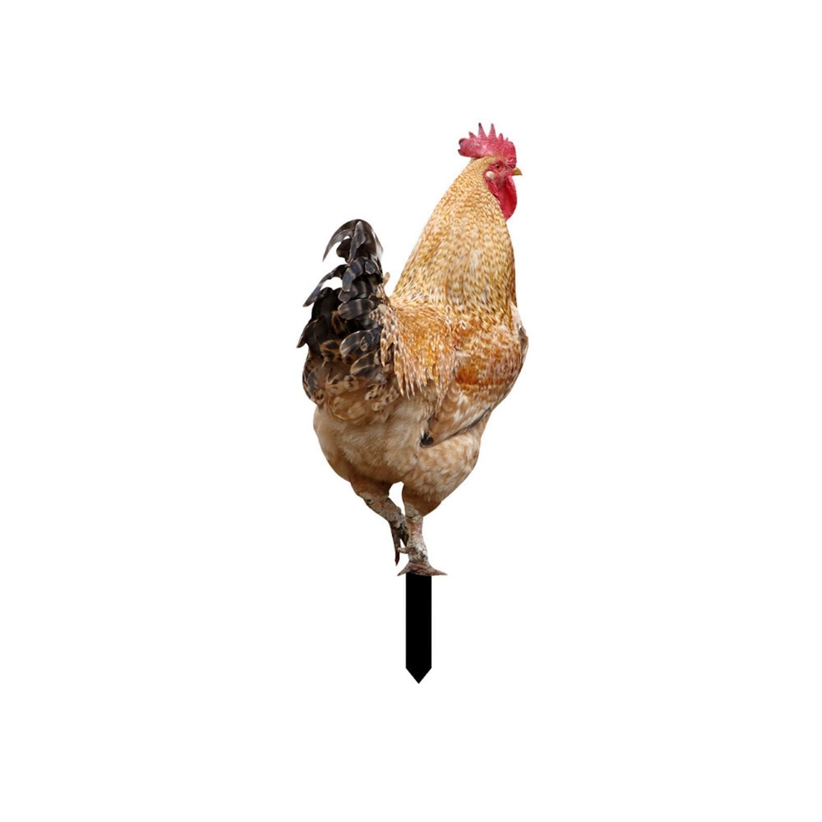 Chicken Animal Statue Stakes Acrylic Decorative for Backyard Home Yard Decor Style B | Home & Garden | Yard, Garden & Outdoor Living | Garden D?©Cor | Statues & Lawn Ornaments-image-37