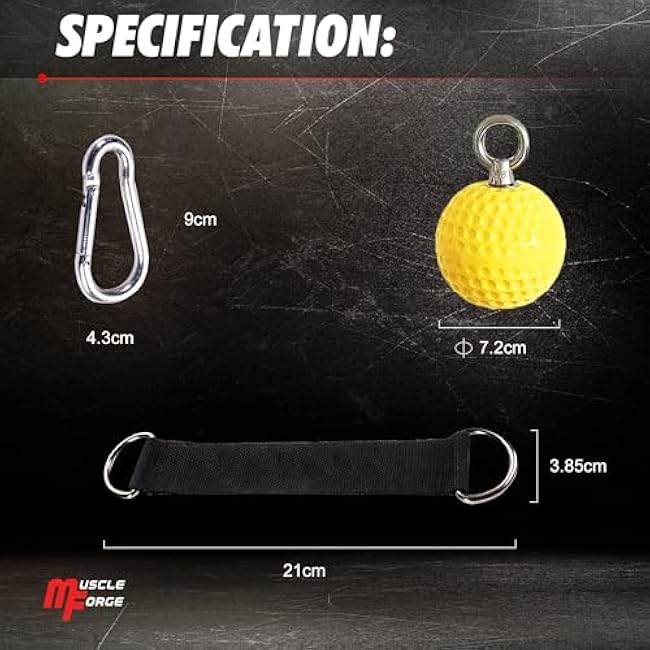 Training Grip Balls for Pull-Ups, Climbing, and Strength Training in the Gym or at Home