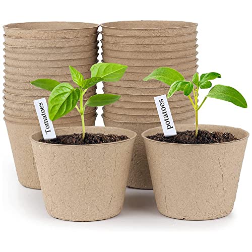 Herklotzn Lot de 30 pots de tourbe ronds biodégradables avec 20 étiquettes de plantes supplémentaires de 7,6 cm