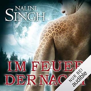 Im Feuer der Nacht Titelbild