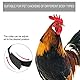 10 Stück Hühner Halsband Hahnhalsband Anti Haken Hühnerhalsband Huhn Kragen für Haustier Hähne Hahn(Normal-schwarz)