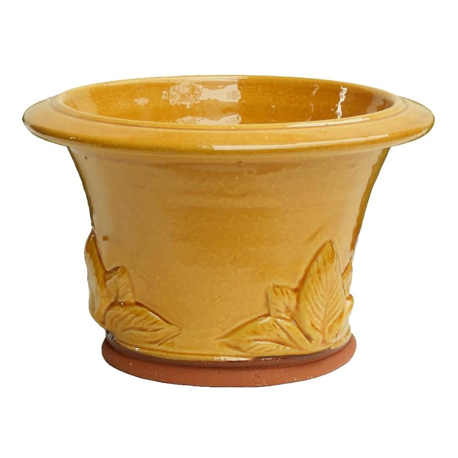 ウイッチフォード　塗り鉢 Amazon.co.jp: Whichford Pottery ウィッチフォード植木鉢 塗り