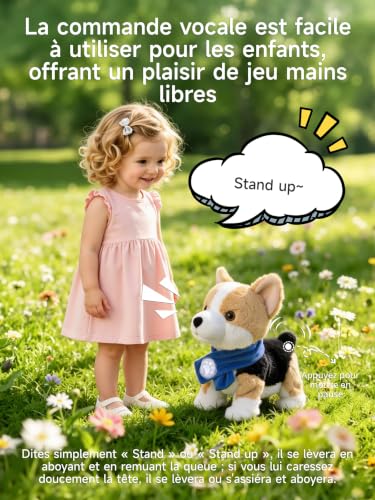 Peluche Corgi interactive commande vocale, cadeau d'anniversaire idéal