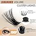 LAKANAKU Lash Clusters Wispy Fluffy Cluster Eyelash Extensions,300 PCS Individual Lashes Cluster 100D Diy Lash Extensions,10-16mm D Curl Lash Extension Clusters, Thin Band Volume Lash Clusters at Home