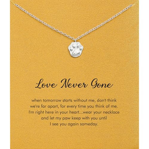 RZKING Pet Memorial Gifts for Dogs Cats, Silvery Paw Print Necklace Remembrance Gifts for Cat & Dog Lovers (Paw Print)