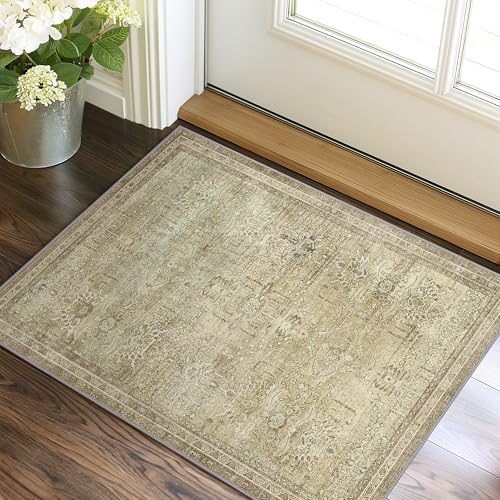 GENIMO 2x3 Non Slip Area Rug Doormat, Machine Washable & Low Pile, Vintage Small Lightweight Rugs for Entryway, Hallway, Kitchen, Bathroom and Bedroom, Taupe/Brown