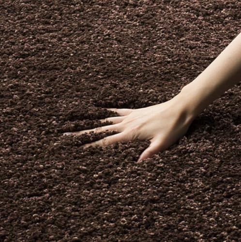 Image of Modern Polyester Anti Slip Shaggy Fluffy Rugs and Carpet for Bedroom, Hall,Kids Room, Guest Room etc. (Coffee, 2x3 feet)