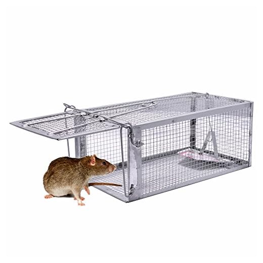 JGRZF Quality Rat Trap, Humane Live Animal Mouse Cage Traps, Catch and Release Mice, Rats,Chipmunk, Pests, Rodents and Similar Sized Pests for Indoor and Outdoor, 10.6 X 5.63 X 4.33 Inches, One-Door
