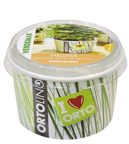 Verdemax 2024 ortolino - Kit Lemon Balm, Color Blanco/Verde