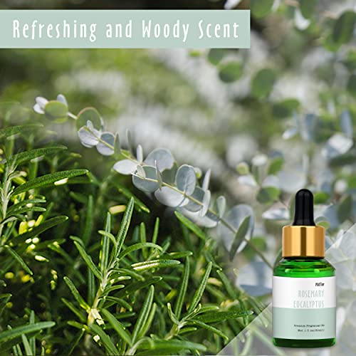 Rosemary Eucalyptus Fragrance Oil, Mitflor Single Scented Oil, Large Size Premium Grade Fragrance Oil For Soap & Candle Making, Aromatherapy Diffuser Oil, Fresh Spicy Scent For Home Fragrance, 30Ml #TOP1