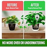 MEPHILIMIA B0FPF92CW2 lato 4