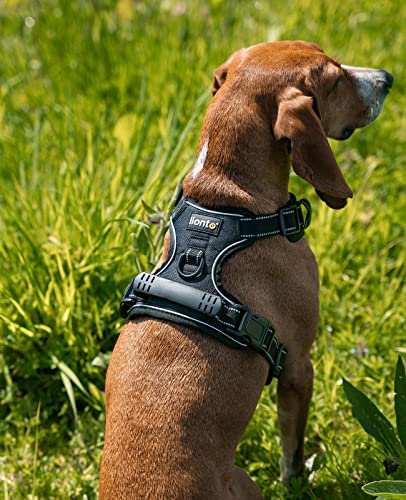lionto Hundegeschirr gepolstert aus weichem Nylon, Größe M, reflektierendes Anti Zug Geschirr für Hunde mit 2 Ringen & 4 Einstellgurten, Zwei Klickverschlüsse & gummierter Griff am Rücken, schwarz
