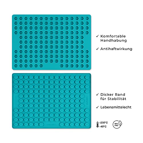 Cahuna Silikon Backmatte für Hundekekse mit Mini Blume - Backform für Hundeleckerli BPA frei und mit Rand - Wiederverwendbare Backunterlage für den Backofen