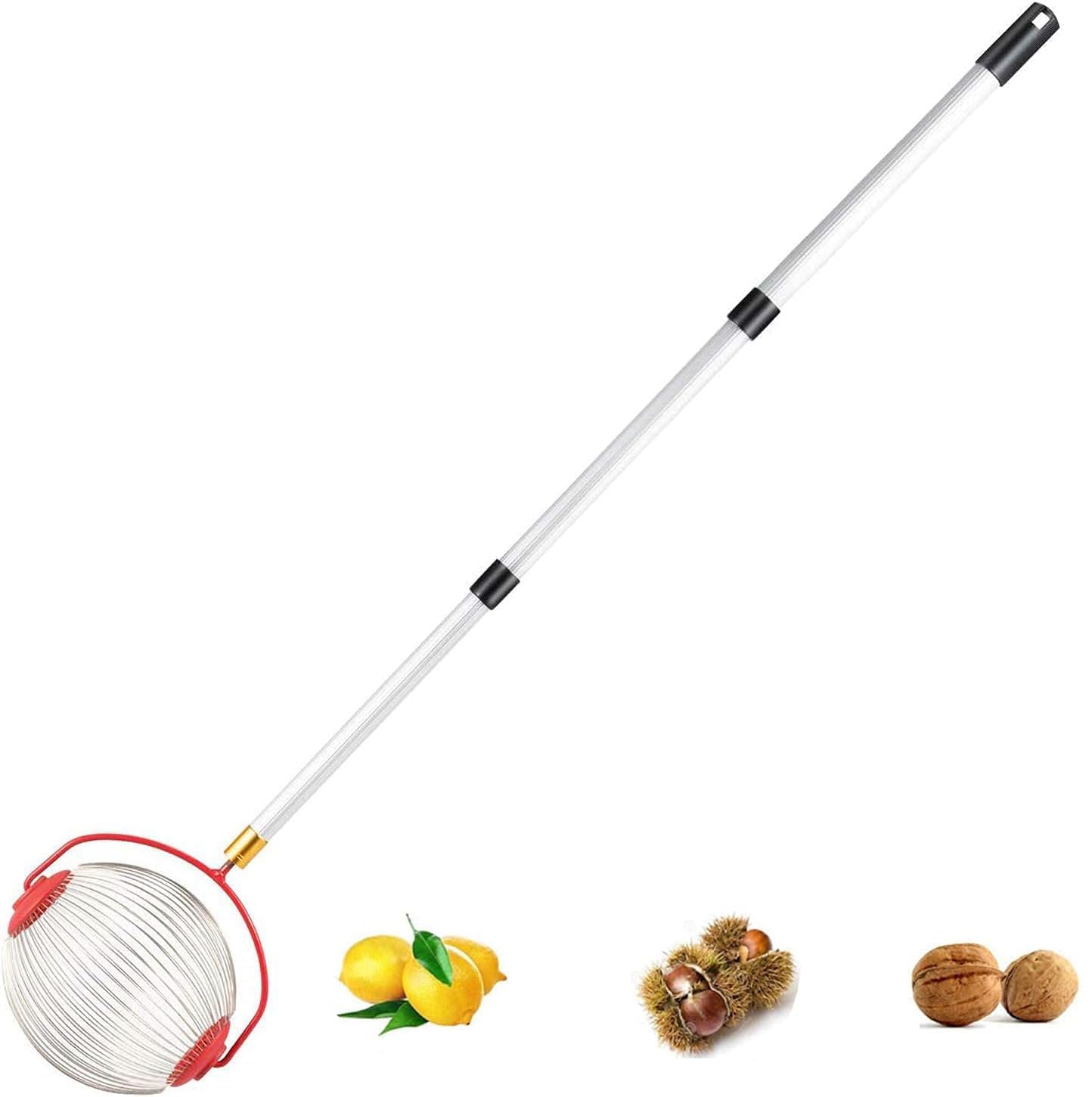 TERRIFI Nut Harvester Ball Picker Stainless Steel Adjustable Lightweight Collect Walnuts, Pecans, Crab Apples, Nerf Darts and Small Fruit Objects 1'' to 3'' in Size-image-22