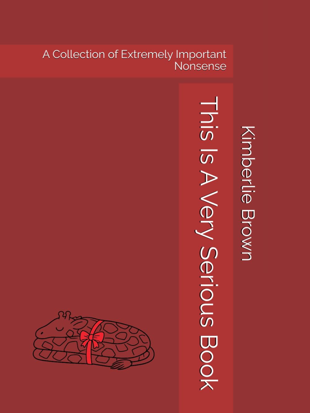 This Is A Very Serious Book: A Collection of Extremely Important Nonsense