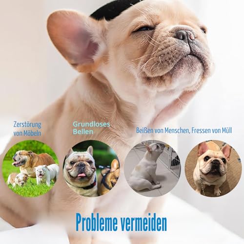 MUU Maulkorb für Hunde mit kurzer Schnauze, für Französische Bulldoggen, Chihuahuas, Pudel und andere flache Hunde, Schwarz, Nylon, 45 cm, kleine Rassen