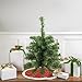 Medium Canadian Pine Artificial Christmas Tree - 18
