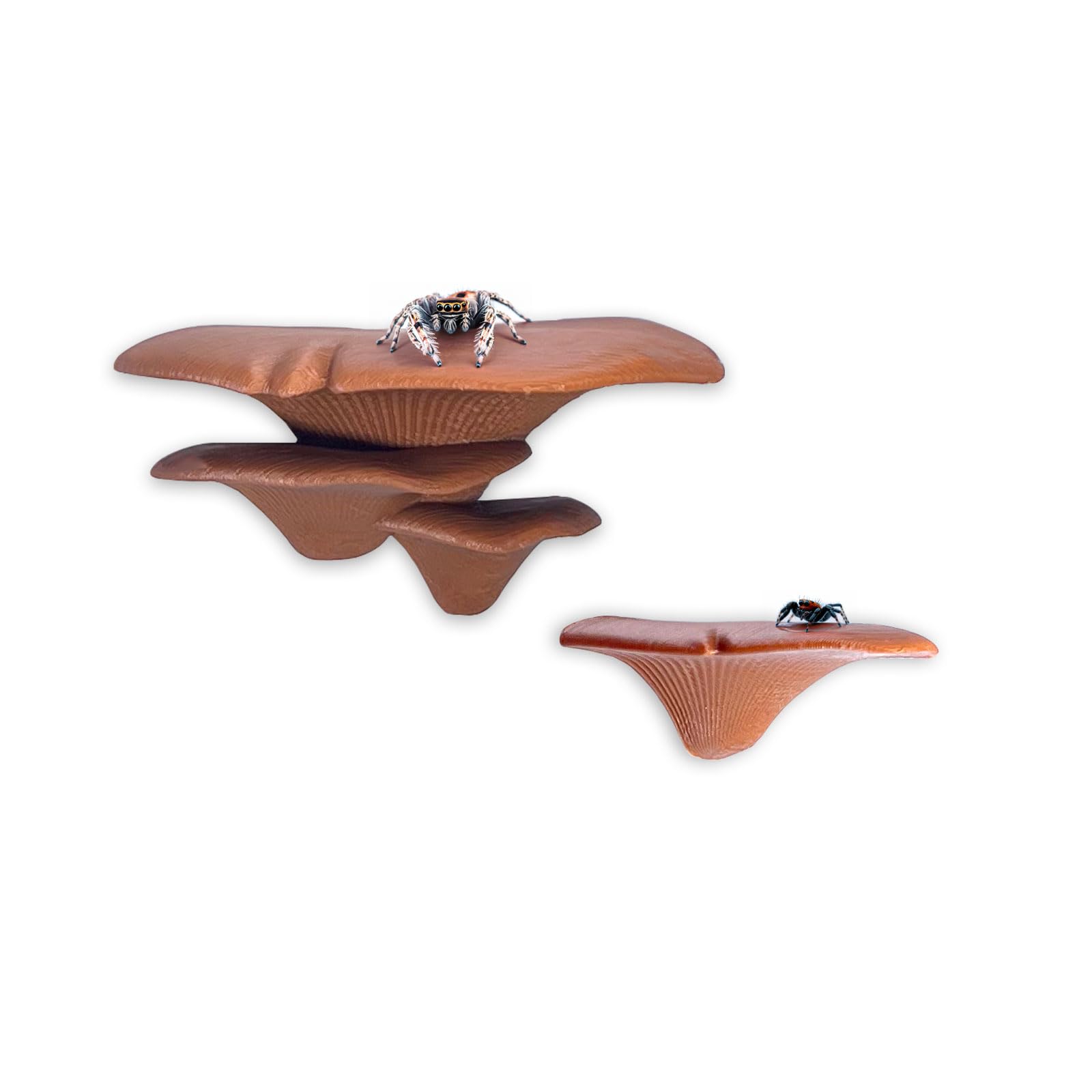 Jumping Spider Mushroom Shelf, Magnetically Concealed Jumping Spider Habitat,Serves As Enclosure Decorate Accessories for Spider Climbing Feeding and