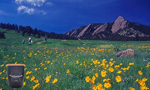 Relaxd Premium English Pear & Freesia Scented Natural Soy Wax Candle (Meadowlands), Large, Long Lasting Aromatherapy Essential Oil Candles #TOP5