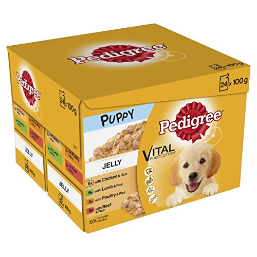 Pedigree Junior Wet Dog Food, 48 Pouches