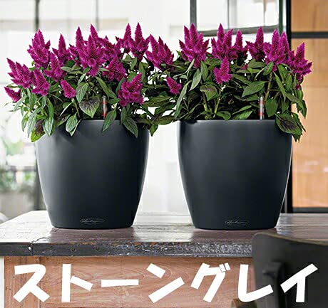 レチューザ ラウンド28 ストーングレー 底面給水型軽量プランター ドイツ製 Amazon.co.jp: ドイツ製 室内でも使える底面給水型軽量プランター