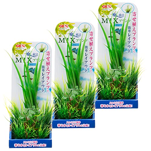 WFbNX i MIXvc MVyX×3Zbg