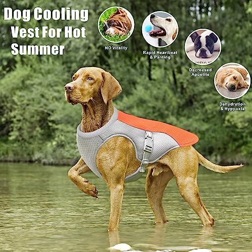Dolahovy Cooling Vest Harness, Breathable Mesh Dog Cool Jacket With Adjustable Summer Coat - Image 2