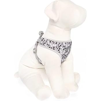 new fit harness top paw