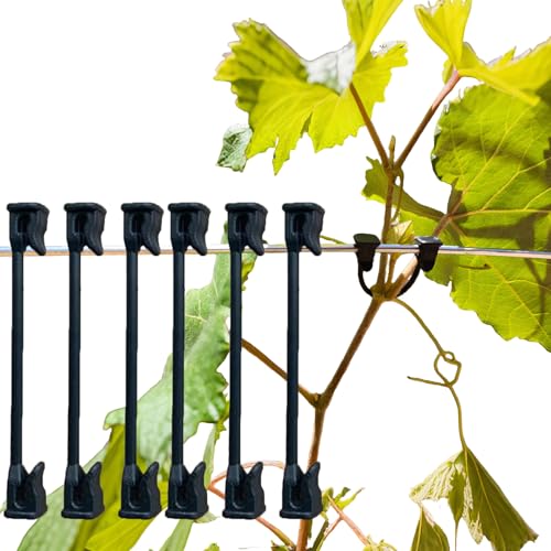 Tomate, Traube, Himbeere, Kiwi Rankenclip Garten Pflanze...