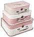 ATMOSPHERA CREATEUR D'INTERIEUR Lot de 3 Jolies valisettes Roses