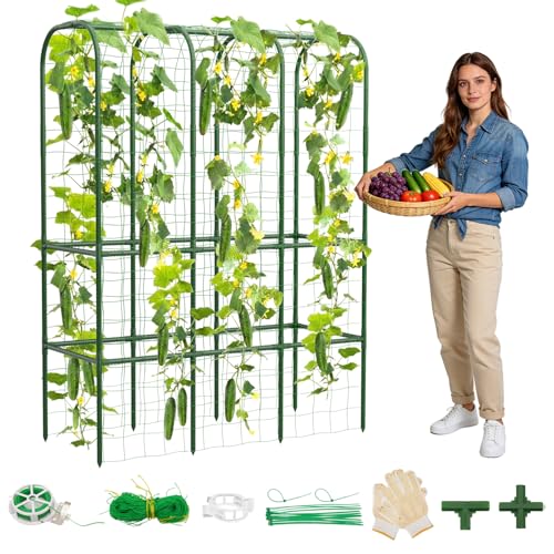 62 Tall Cucumber Trellis for Raised Bed Garden Trellis for Climbing Plants Outdoor U-Shape Metal Arch Vegetables Trellis Plant Support for Zucchini Squash Vines