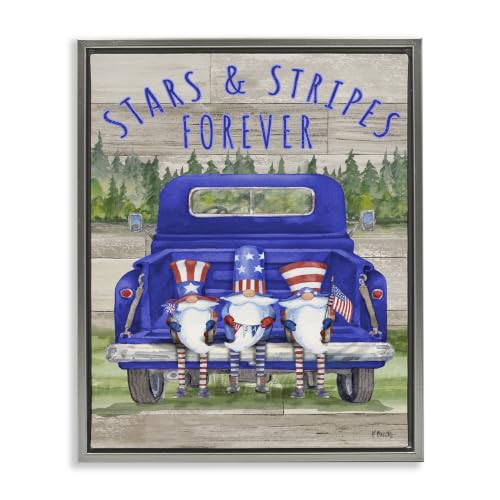 'Stars & Stripes Forever Americana Gnomes'| Floating Frame Canvas Art