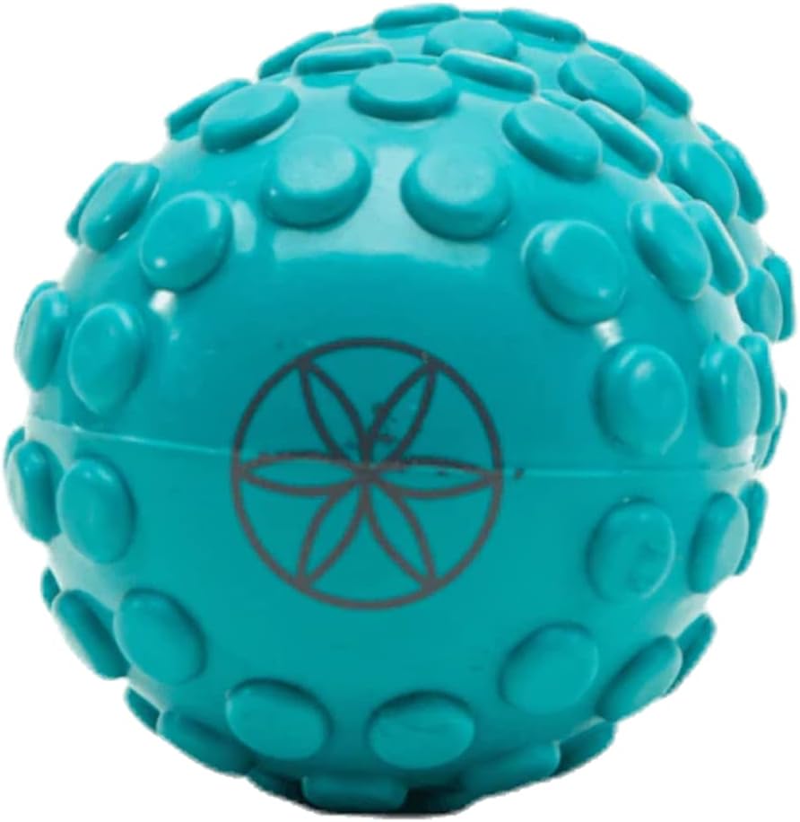 Gaiam Restore Dual-Zone Back Massage Roller Blue : Health & Household