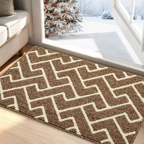 Biscpro Fußmatte Innen, Wasserdicht Türmatte Schmutzfangmatte...