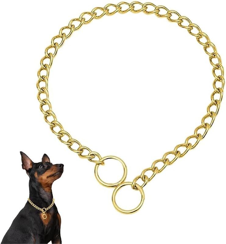 Coleira Martingale de Corrente Metálica para Cães Pimaodog HA111 Dourada XS – Pescoço até 30,48 cm, Elo de 2,0 mm