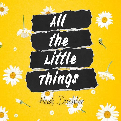 All the Little Things - Heidi Dischler episode artwork