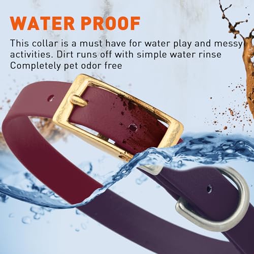 Image of Viper Biothane Heavy Duty Waterproof Dog Collar Strong Coated Nylon Webbing w /Solid Brass Hardware Odor-Proof Easy to Clean High Performance Fits Small Medium or Large Dogs, Merlot Burgundy
