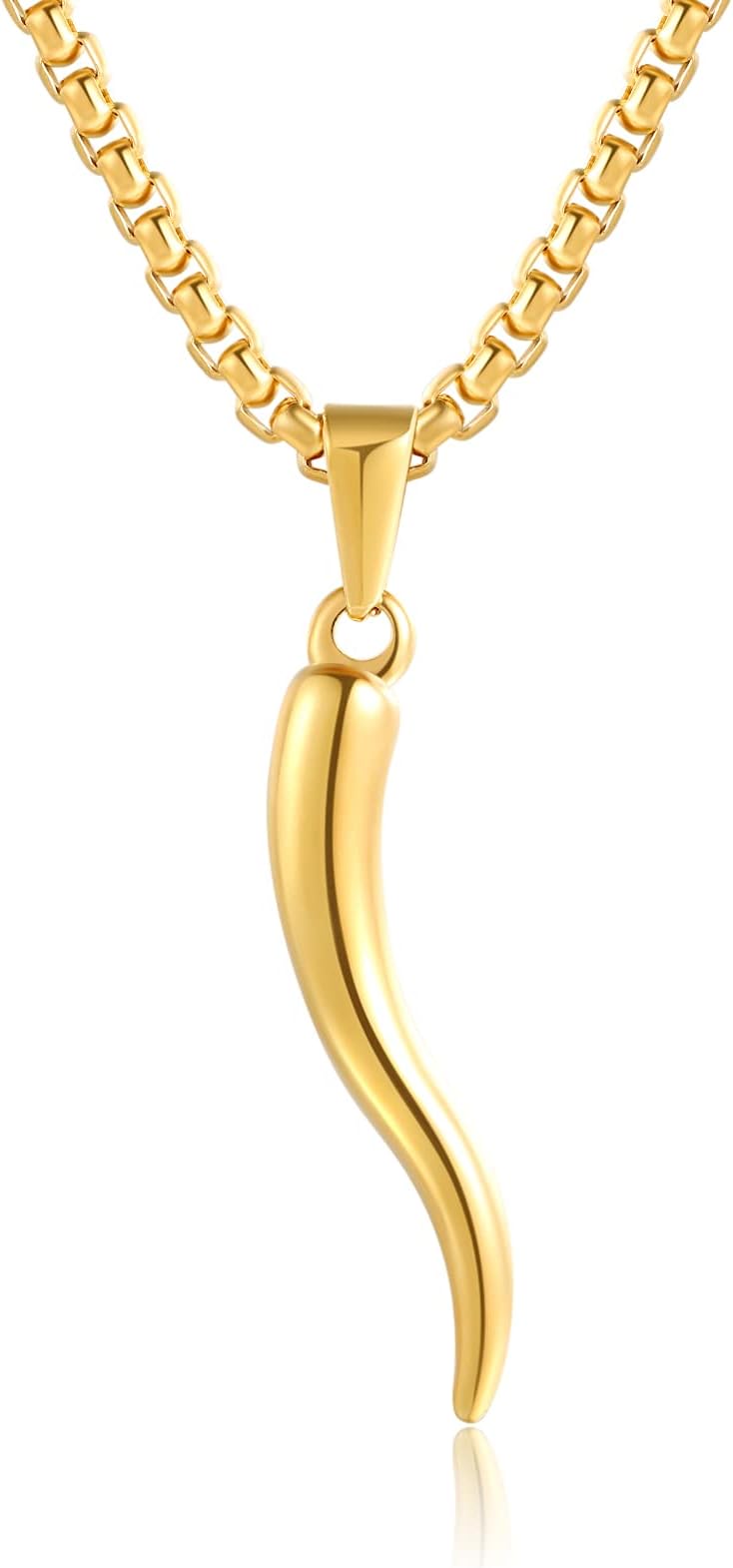 RnividaStainless Steel Italian Horn Cornicello Amulet Pendant Necklace Talisman Lucky Jewelry Gifts