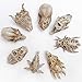 Bbiamsleep 8 Pcs 2.3 Inch Animal Skulls Figurine Resin Mini Skulls Dinosaur Alien Animal Skulls Decor Ornament Mini Skull Heads for DIY Projects Halloween Christmas Decoration
