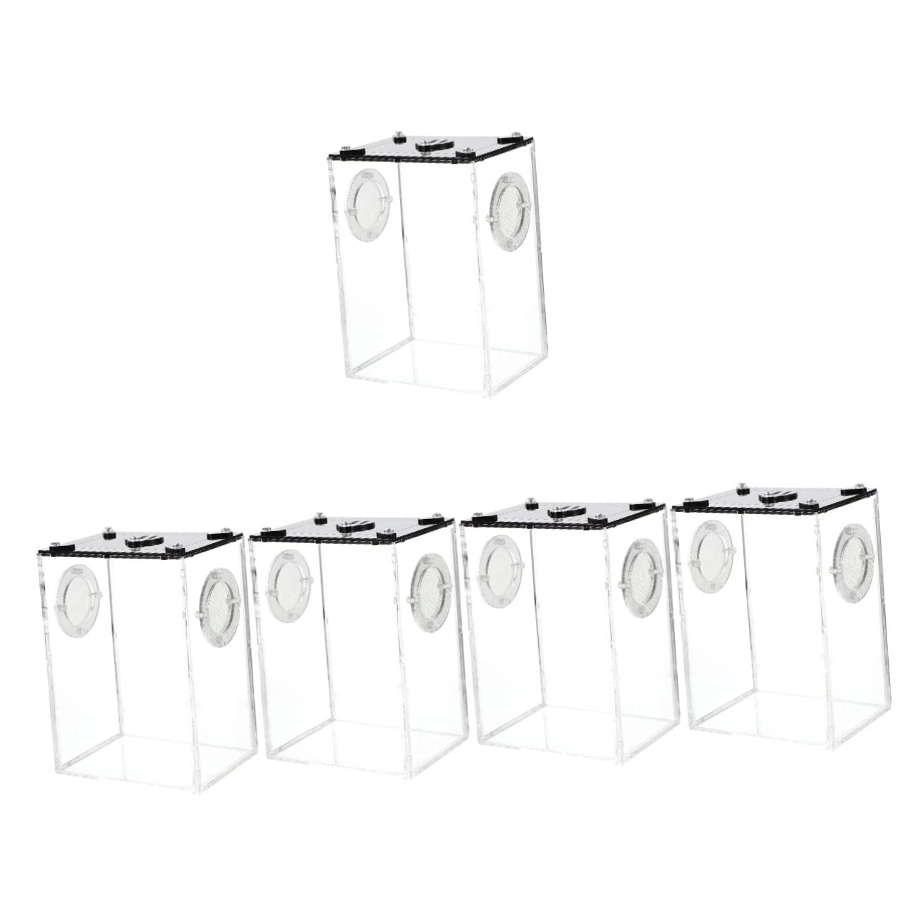 Buy POPETPOP 5pcs box Jumping Portable Terrarium Cricket for Container