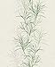 Produktbild Rasch Tapeten Vliestapete (Botanical) Weiß 10,05 m x 0,53 m #ROCKNROLLE 536003