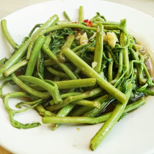 250 Water Mimosa Seeds For Planting- Hat Rau Rut - Aka. Sensitive Plant, Neptunia Oleracea, Perennials, Edible Plants #TOP1