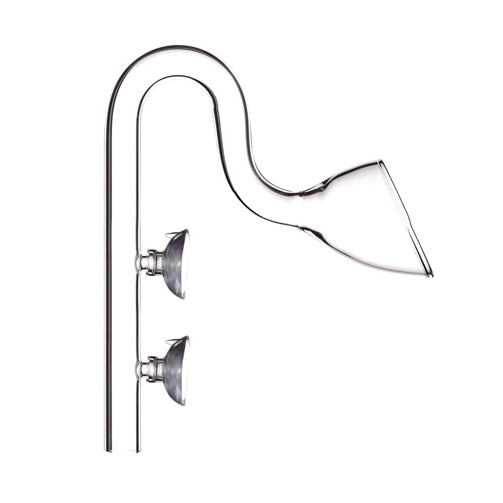 Buy FZONE Aquatic Glass Lily Pipe Outflow with Suctions for Aquarium