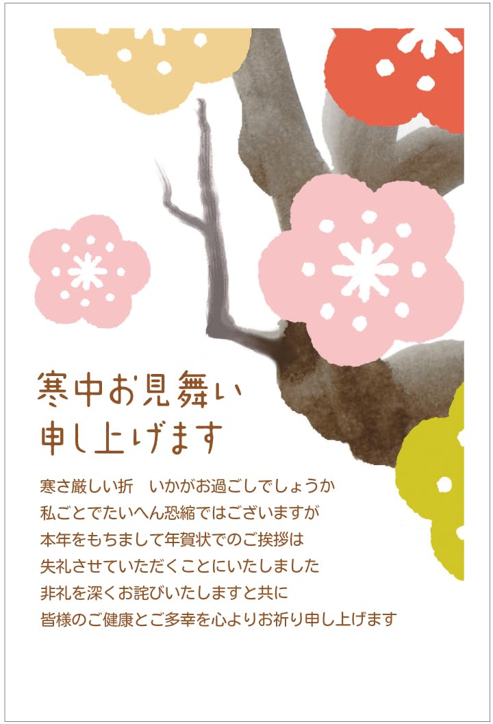 Amazon | 年賀状じまいハガキ 寒中見舞い【5枚】切手付き官製はがき