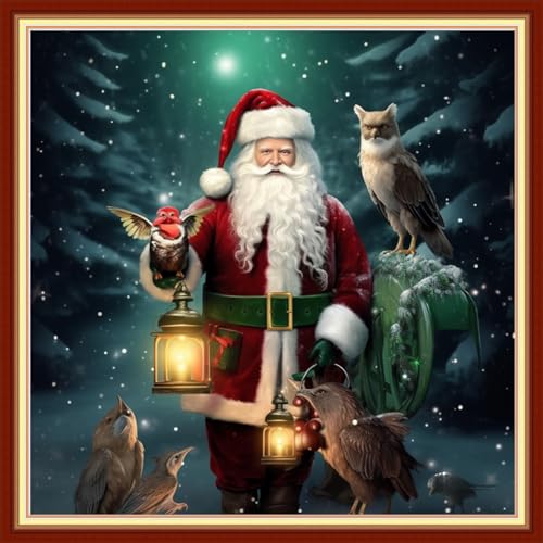 Image of Dooxvey Cross Stitch Kits for Adults Beginners - Full Range of Stamped Kits - 11CT Cross Stitch Patterns - Santa Claus Owl - 18x18 inch
