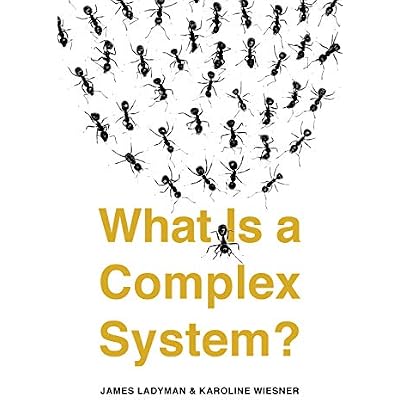 What Is a Complex System?