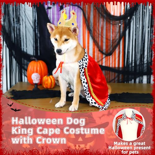 Disfraz Halloween Rey para Perros Grandes Bolake miniatura 4