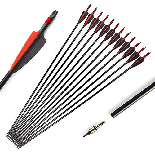 ANTSIR 30 Inches Spine 500 Fiberglass Arrow Diameter 8mm with Explosion-Proof for Recurve/Compound Bow Archery Hunting Shooting
